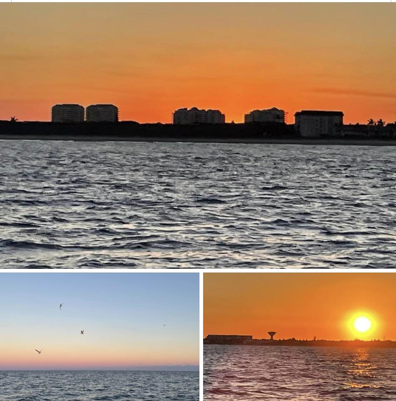 SHEPARDS W S - Residential Lease