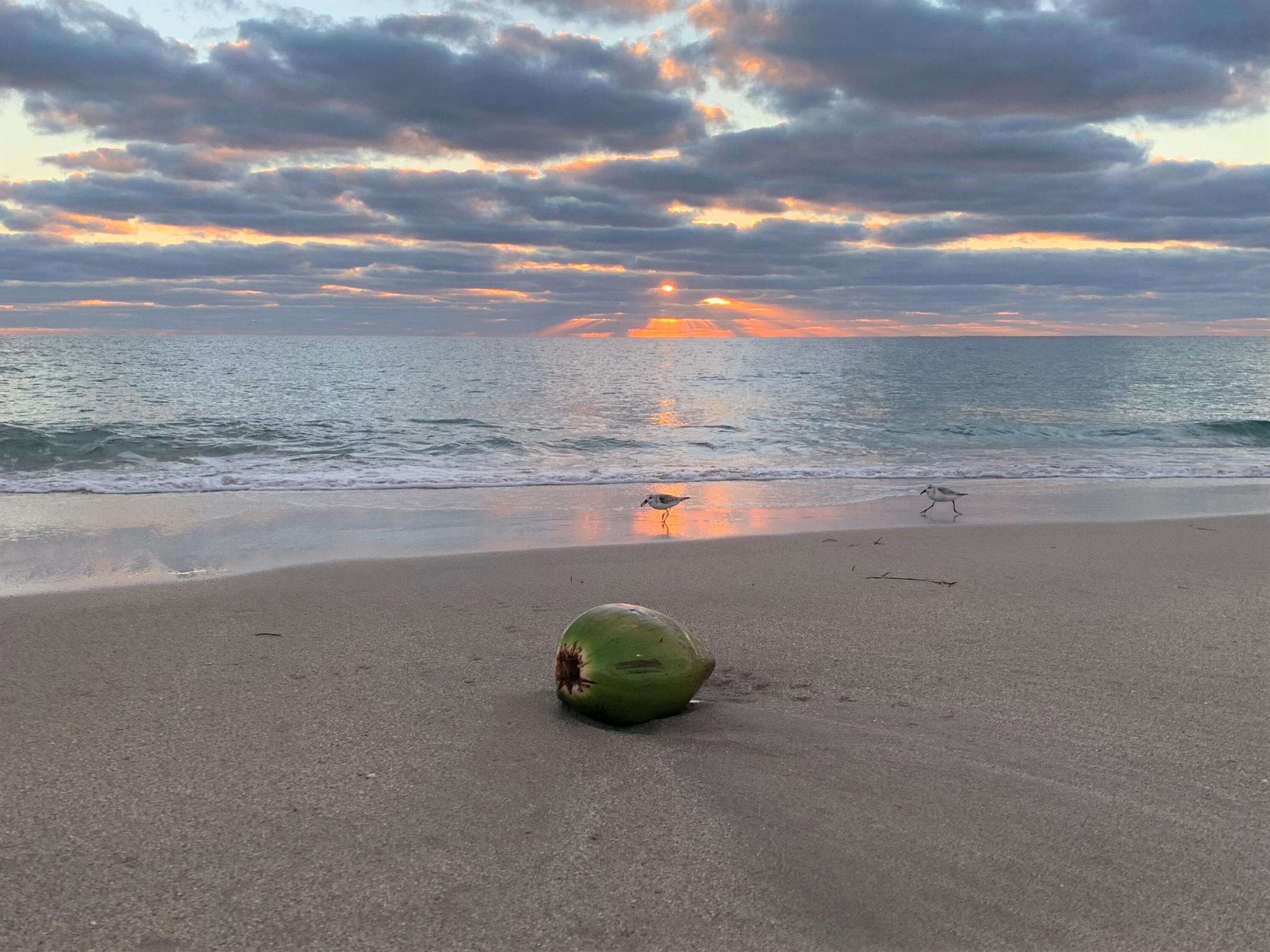 MIRAMAR GARDEN APT CONDO - Residential