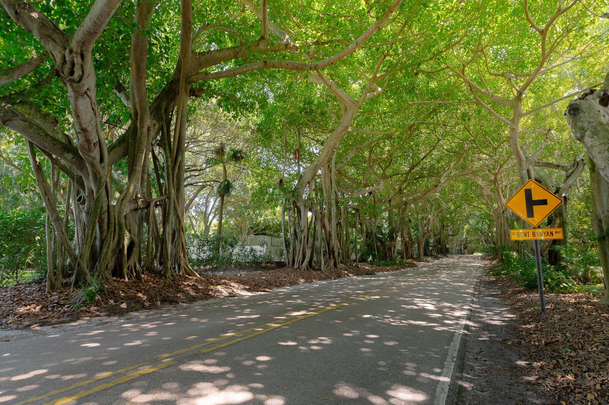 BANYAN TREE ESTATES - Residential