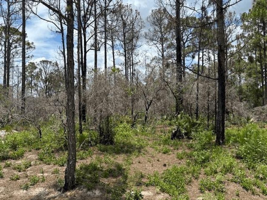 Sun n Lakes Building lot with owner financing. $1,500 down only! Lot next door also available.