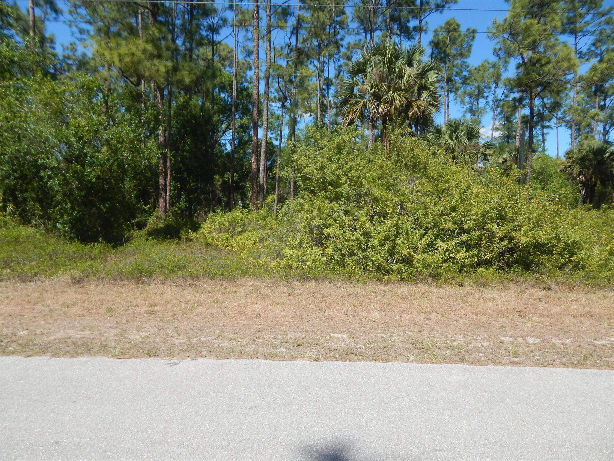 Very nice lot on paved Rd, High and Dry. Owner owns 4 more lots in this area and all can be sold as a package or separately. Build your new home in in Lehigh Acres while the prices are still low, there is constructions going on everywhere here.