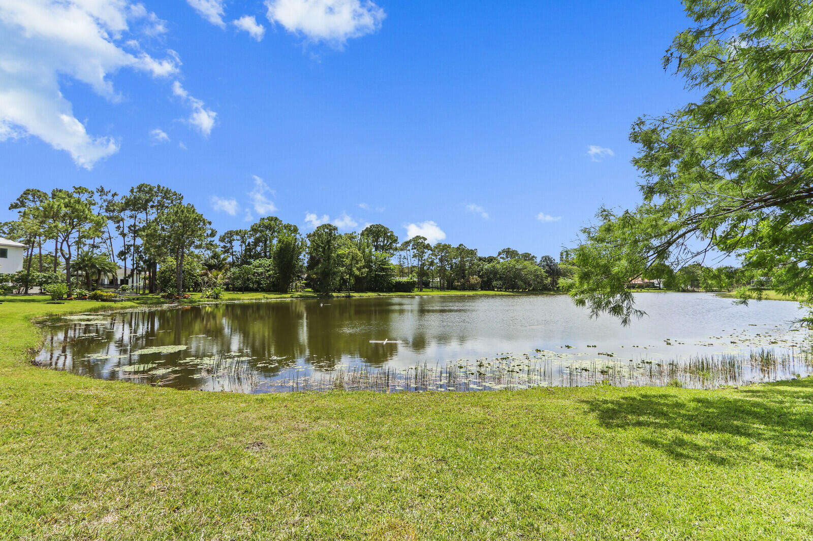 STONEWAL ESTATES - Residential