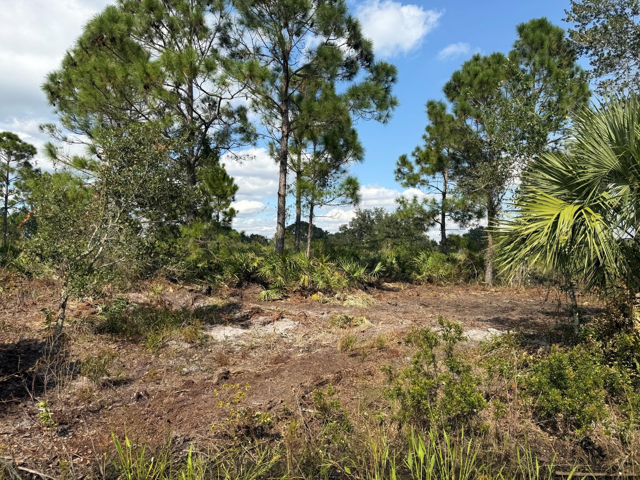 SOUTHERN COLONIZATION CO - Land