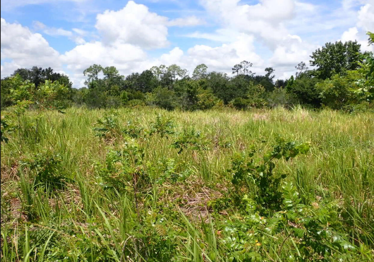 0 N Poinciana Boulevard N