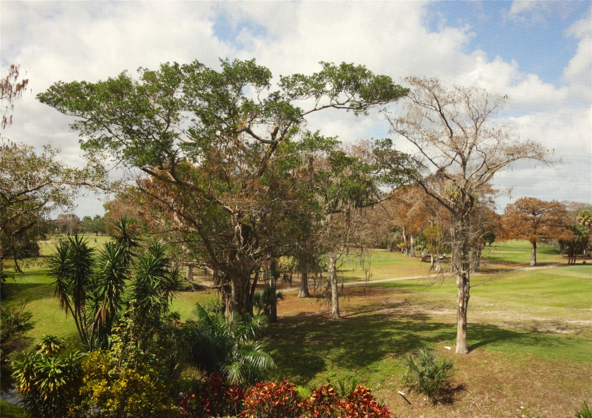 Palm Aire - Residential