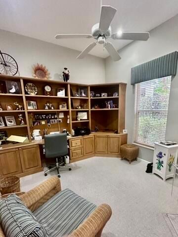 Ballenisles - Residential