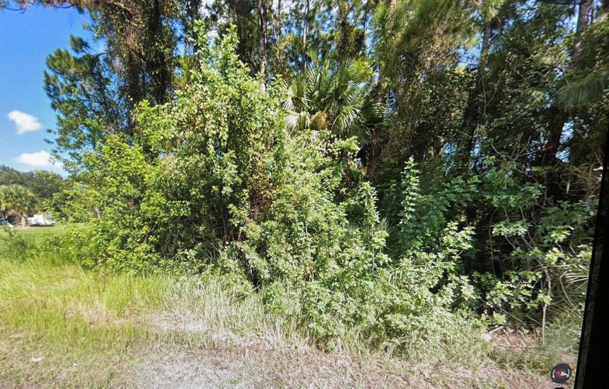 QUARTER ACRE LOT in Florida's fastest-growing city! Perfect for your future construction projects. Ideal for investors and buyers looking to secure an investment opportunity and capitalize on rapid SUBURBAN growth! Or for anyone who which to build their dream home. Great schools, shopping center, beaches, etc...A Must See