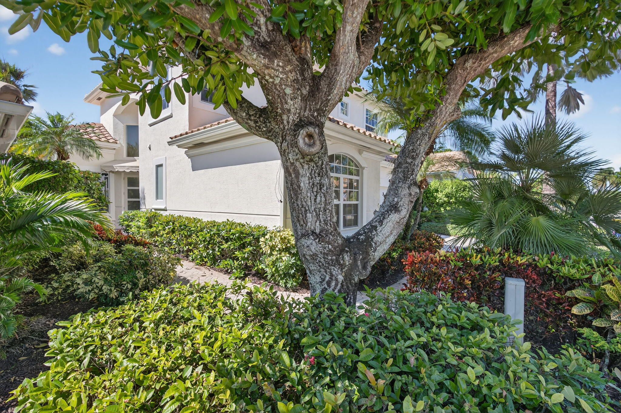 DIAMOND HEAD - Residential