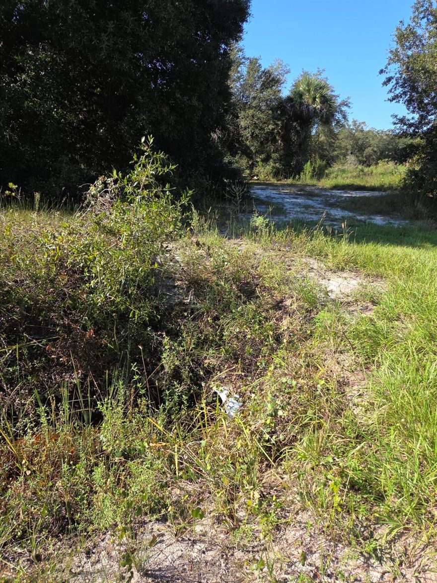 Viking Prairie 2.5 acres (2 adjacent lots). High and Dry.  These lots have a driveway, nice sandy soil. Weekend getaway to make your private country retreat. Ideal for nature lovers, recreational vehilces, place for your garden amongst the scattered trees. Most of the underbrush has been removed. Mobile, modular and sitebuilt homes are allowed. 35 minutes to vibrant heart of downtown Okeechobee an the shores of Lake Okeechobee. 5 minutes to Kissimmee Prairie Preserve State Park, known for its excellent view of the night skies and beautiful sunsets.