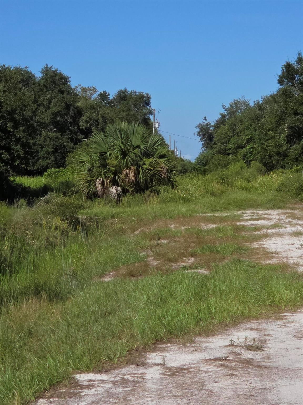 Southern Colonization - Land