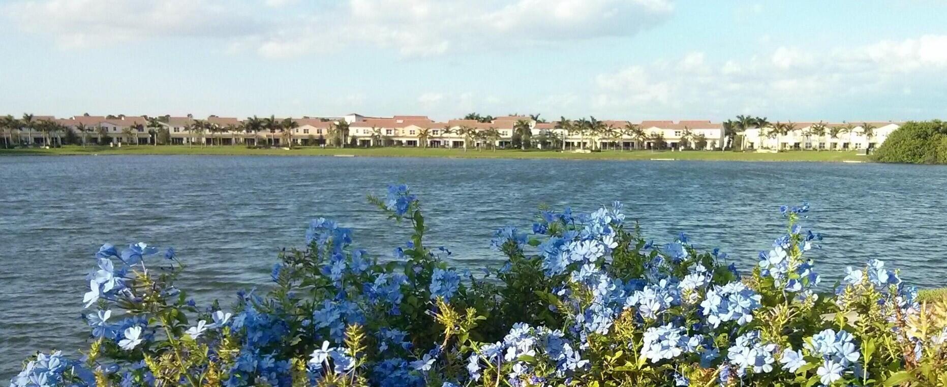 CENTRA BLUE LAKE TOWNHOMES - Residential