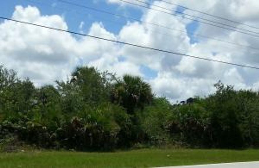 Build your dream home and add a pool. Almost 1/2 acre buildable level lot located in area of lovely single family homes. North of Gatlin.  EZ commute close to I95.