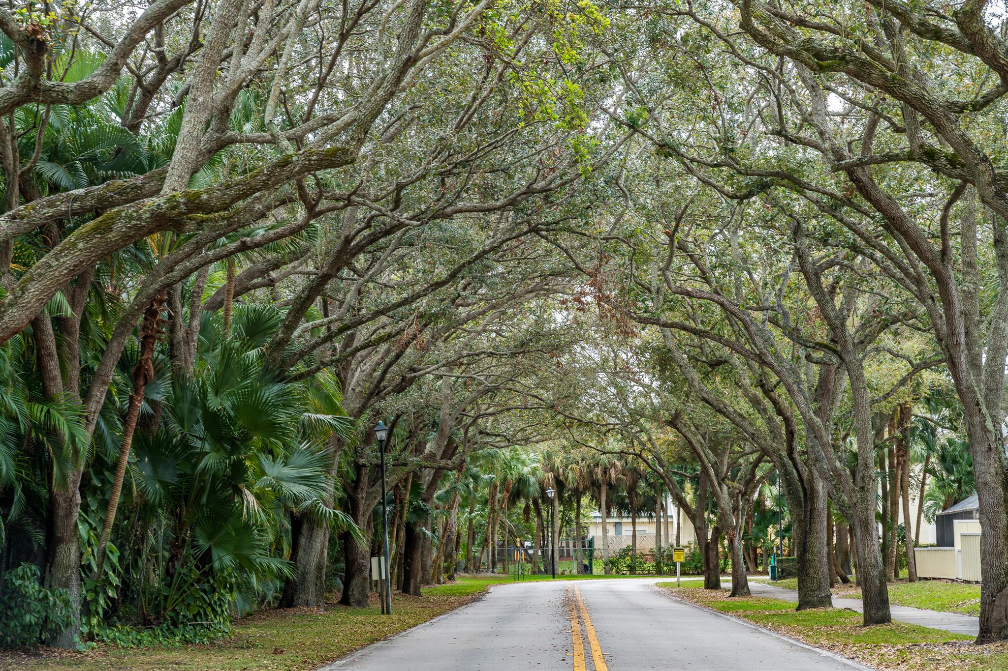 RIVERWALK 3 - Residential
