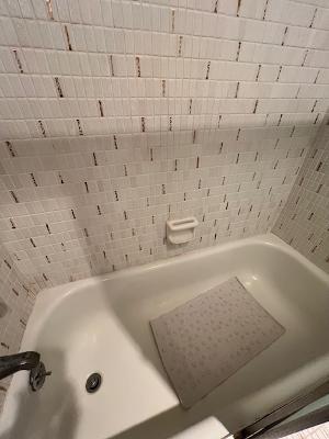 MEADOWS CONDO - Residential