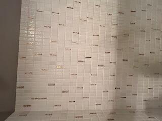 MEADOWS CONDO - Residential