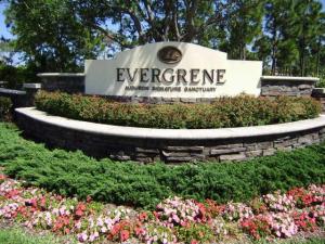 EVERGRENE PCD 6 - Residential Lease