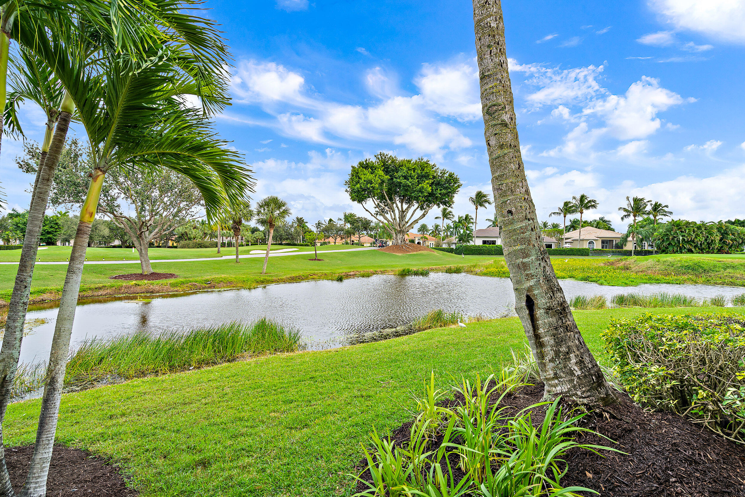 IBIS GOLF AND COUNTRY CLU - Residential