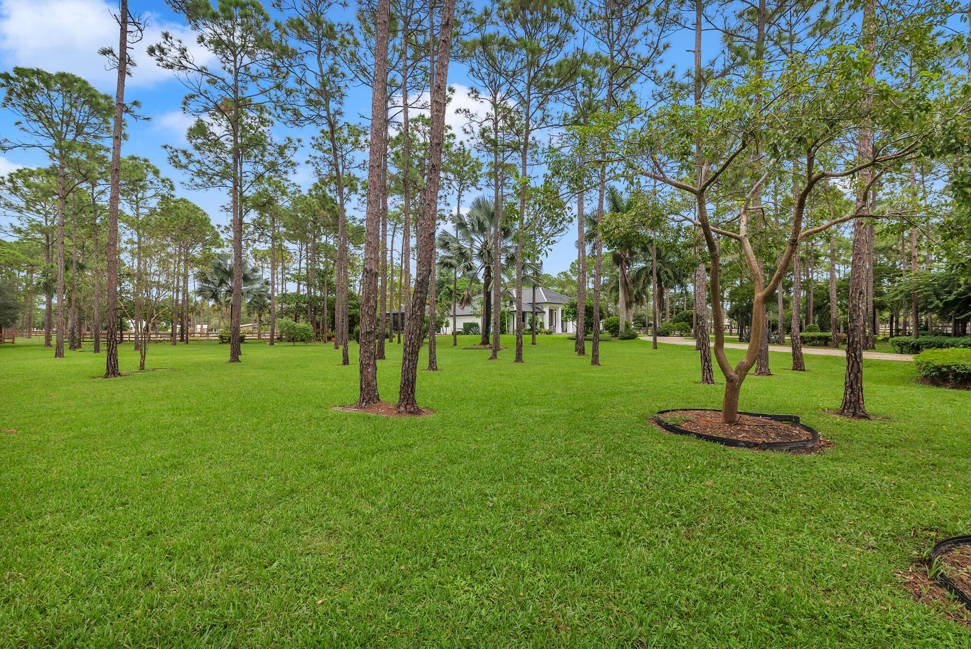 CALOOSA - Residential