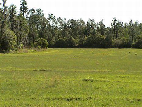 SMITH DAIRY WEST 7 PH 2 - Residential