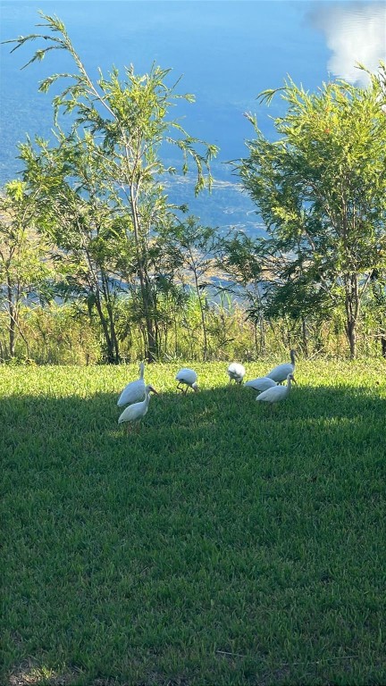 Summer Lake Condominium - Residential