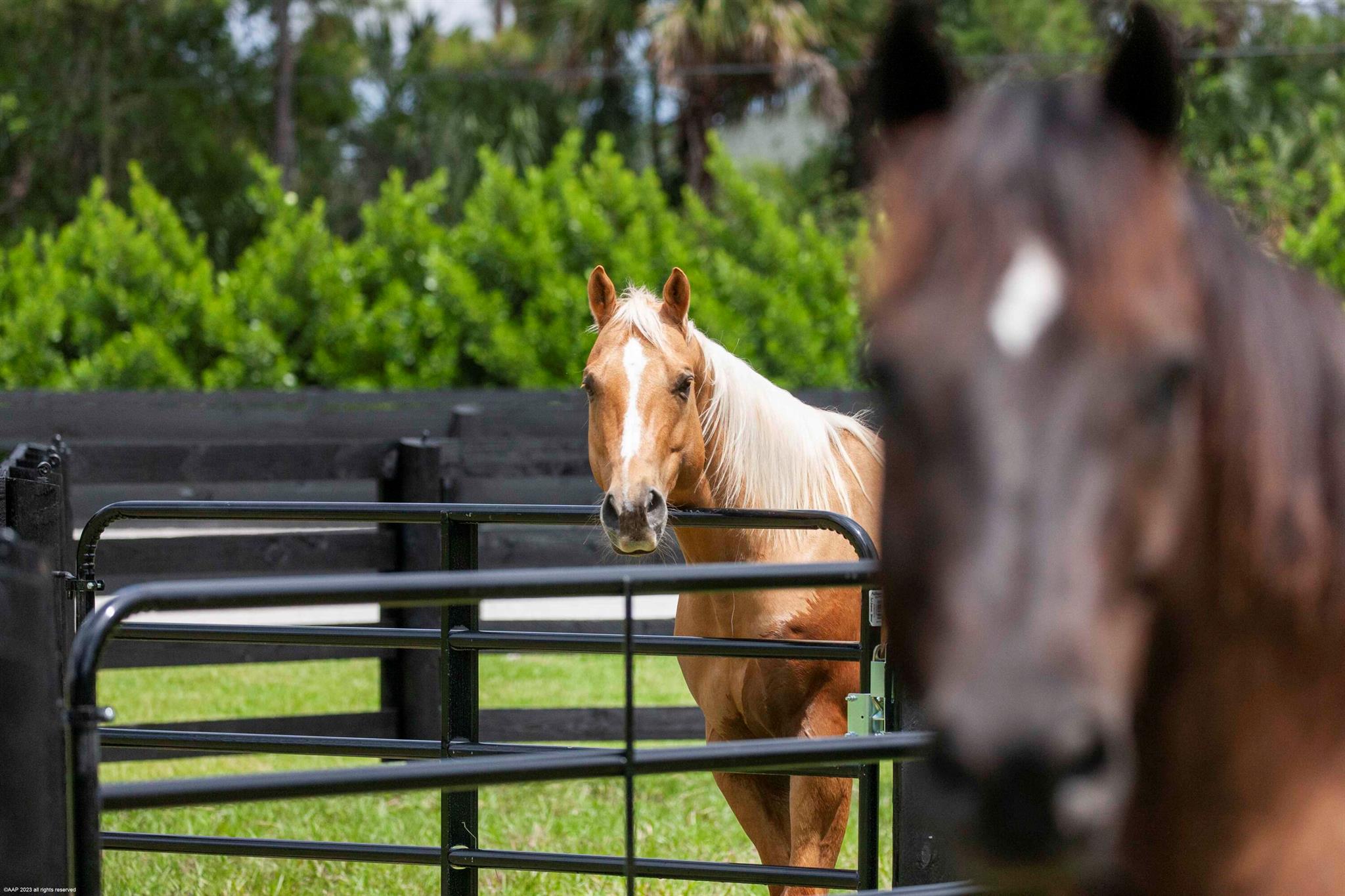 FOX TRAIL - Residential