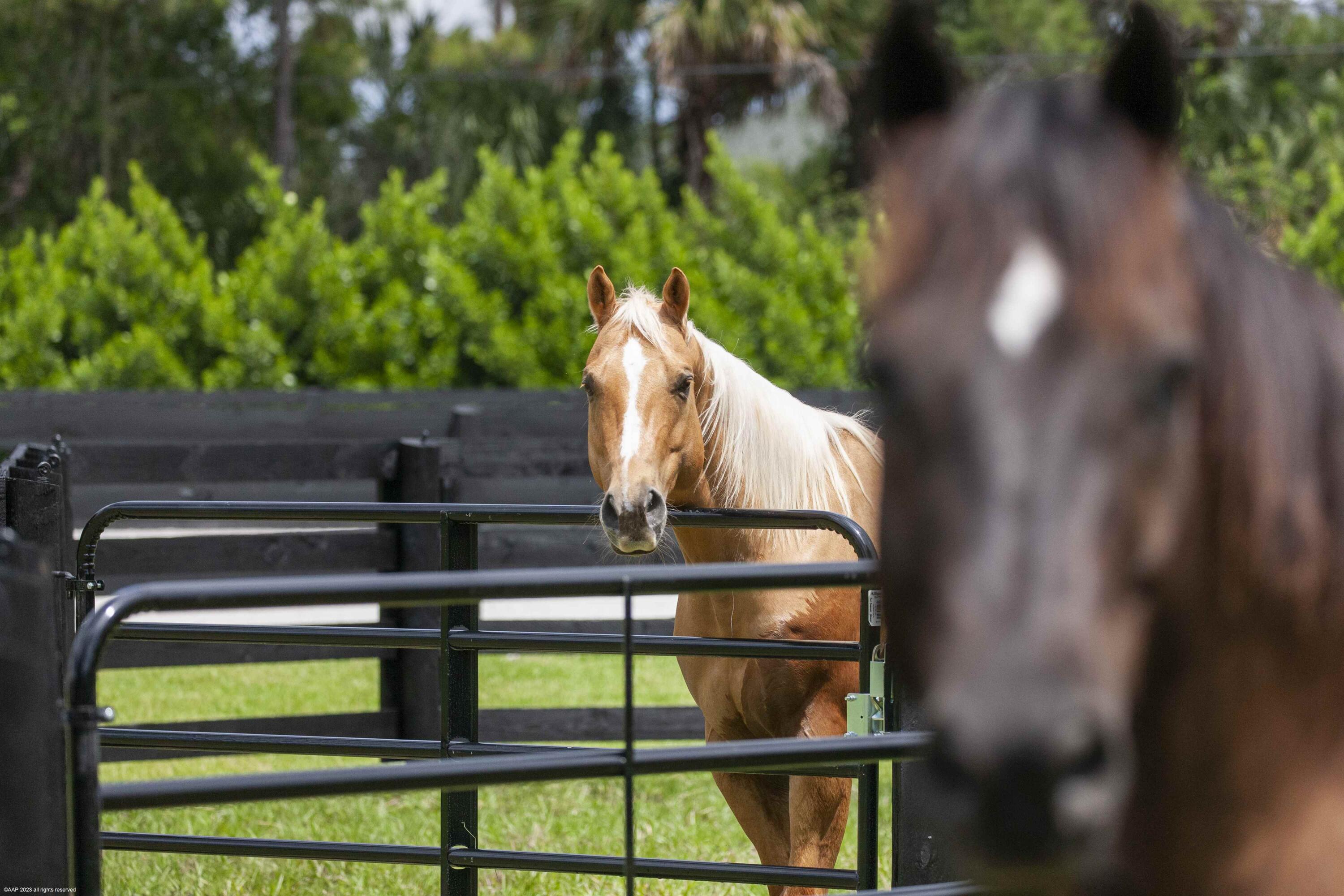 FOX TRAIL - Residential