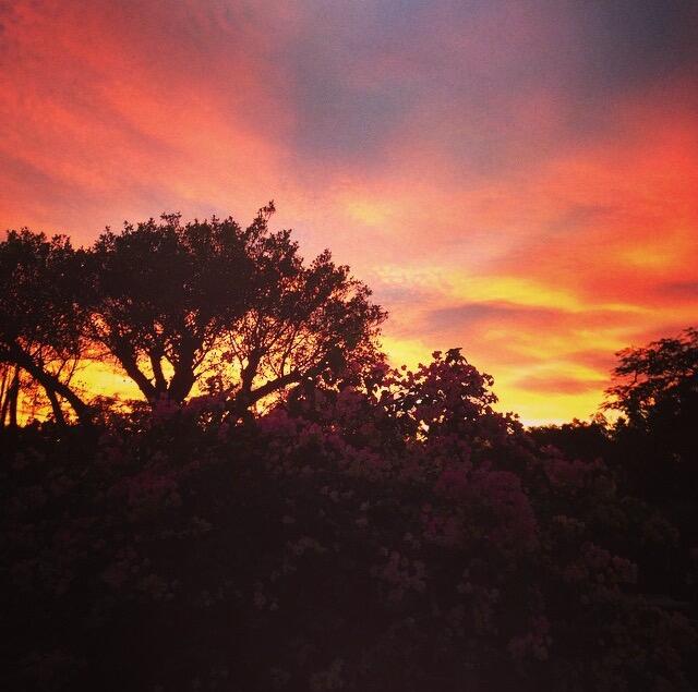 DELL PARK - Residential