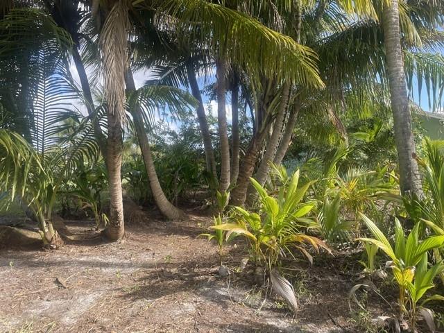 Square Lake - Residential