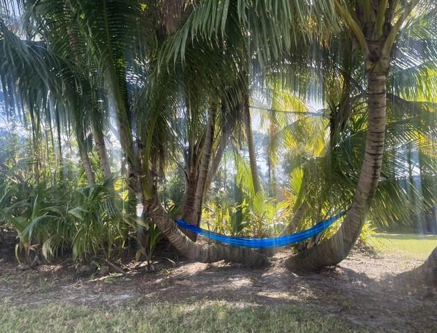 Square Lake - Residential