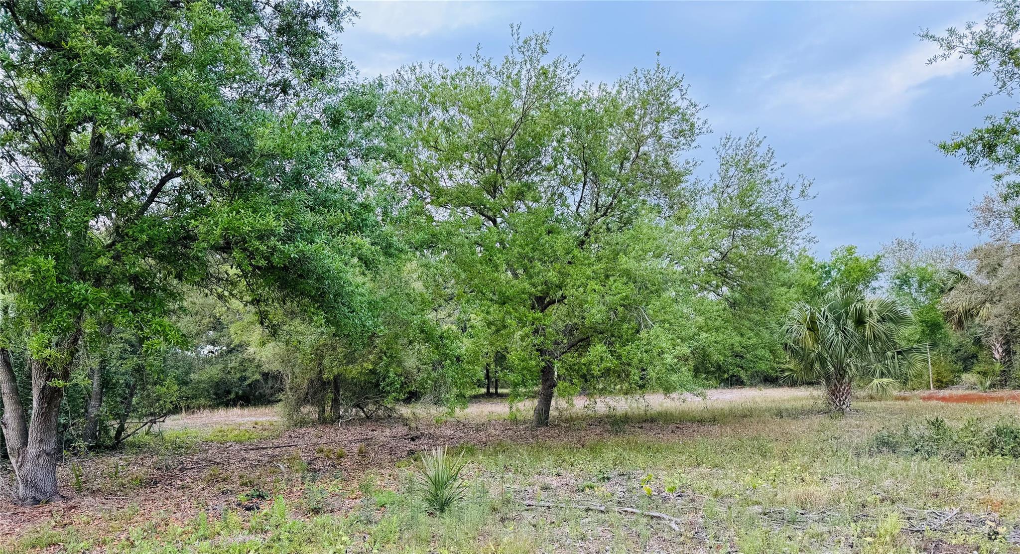 Indian River Farms Co Sub - Land