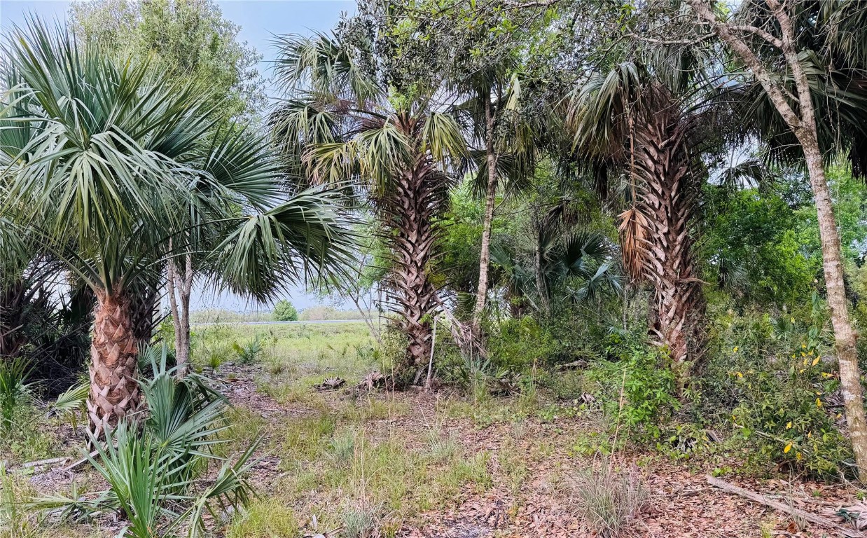 Indian River Farms Co Sub - Land