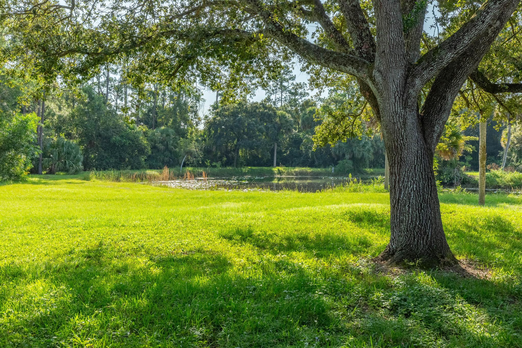 LOXAHATCHEE GROVES - Land