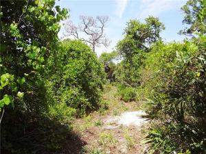 ST LUCIE INLET FARMS - Land