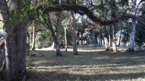 ST LUCIE INLET FARMS - Land