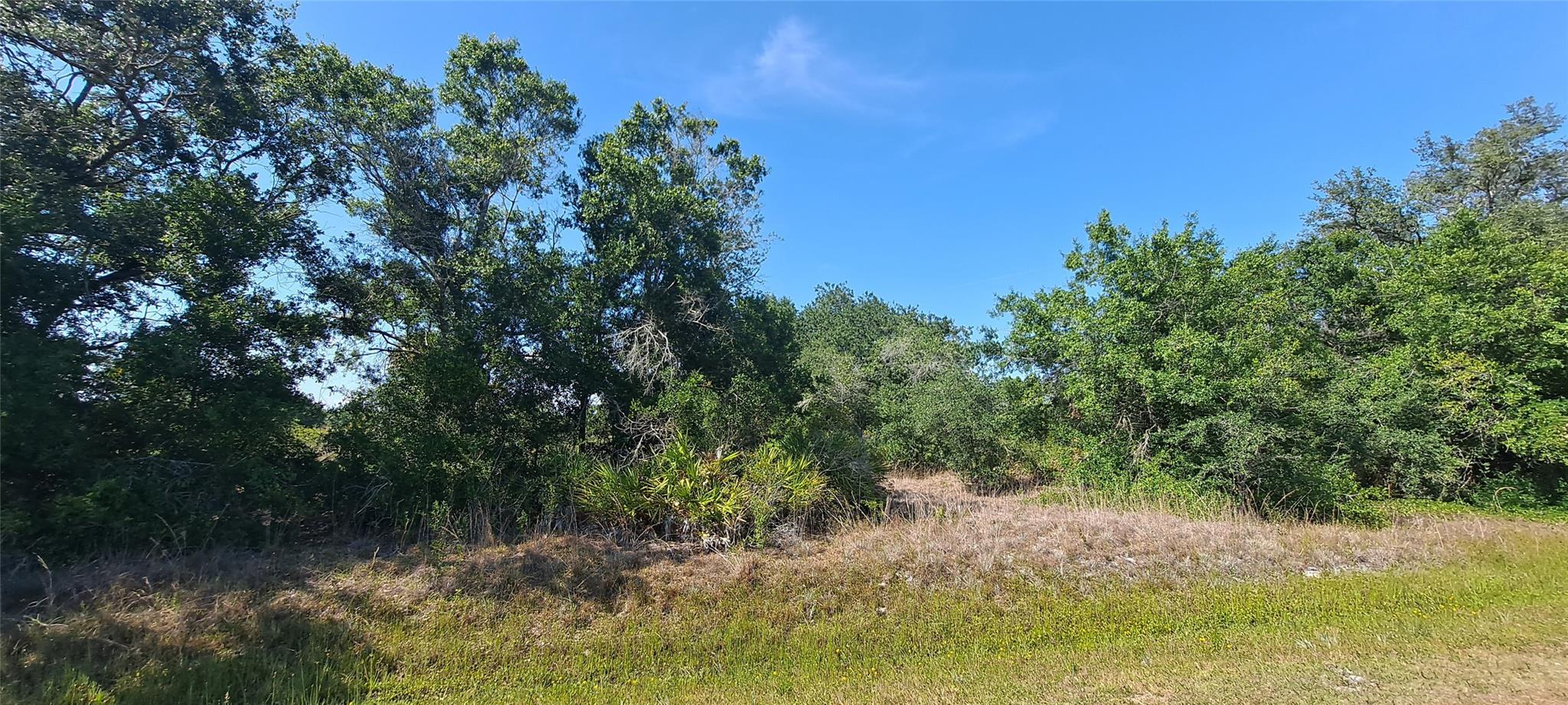 Beautiful country lot near Kissimmee Prairie Preserve! Lots of activities at the state park! This 1.5 acre lot is great for nature seekers to enjoy. Go take a look! Go Direct! This Lot is flood zone A and does have wetlands on the property according to the wetland mapper. Contact the Department of environmental Protection directly for questions regarding the possibility of a wetland mitigation to be able to build a home or place a manufactured home, or other requirements for these specific wetlands. This area is zoned AG, and zoning does allow homes and double wide mobile homes/manufactured homes in this subdivision.