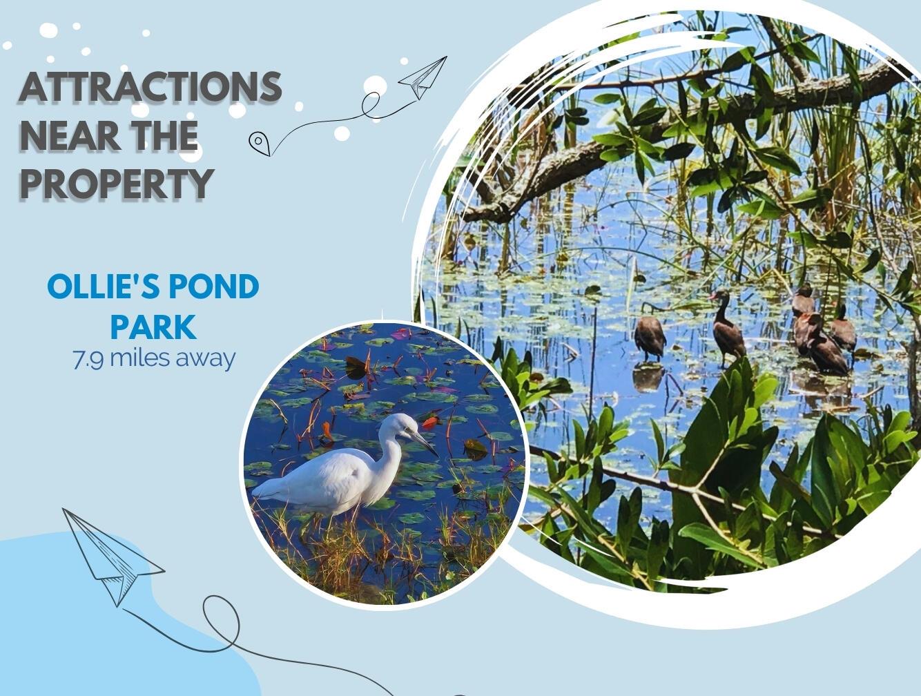 Port Charlotte - Land