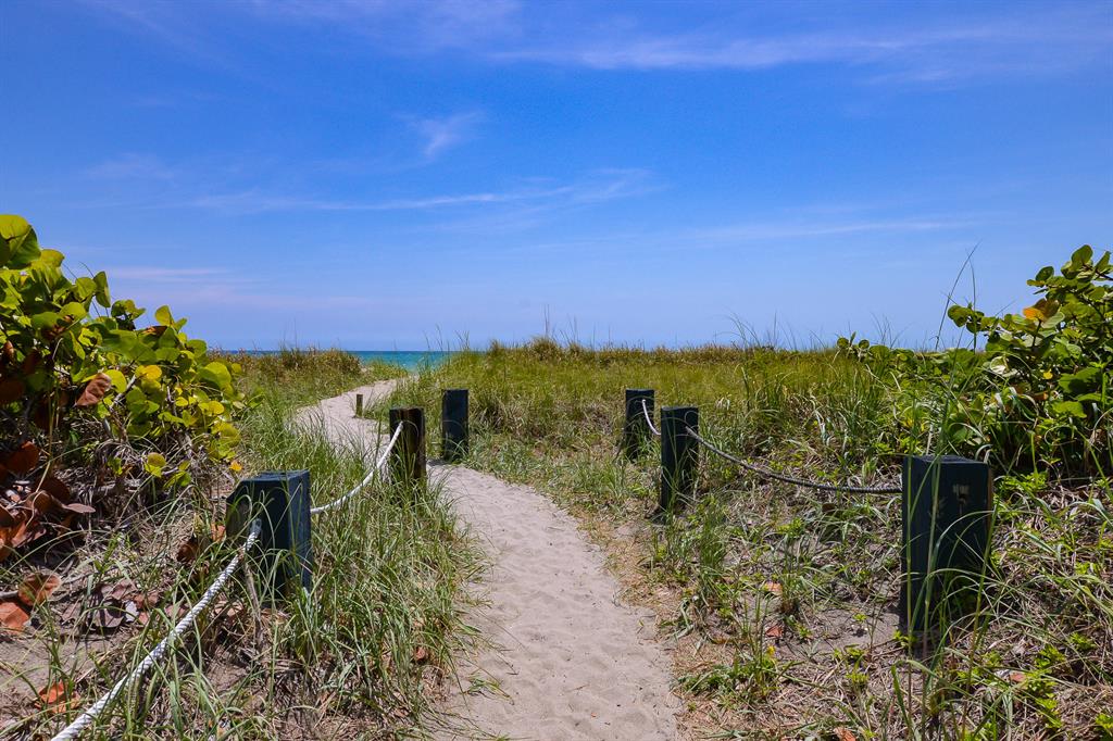 Palm Haven S/D Unit 1 - Residential