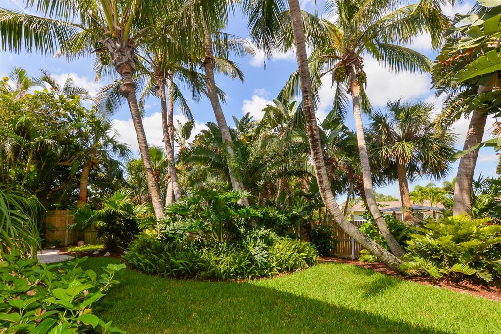 Palm Haven S/D Unit 1 - Residential