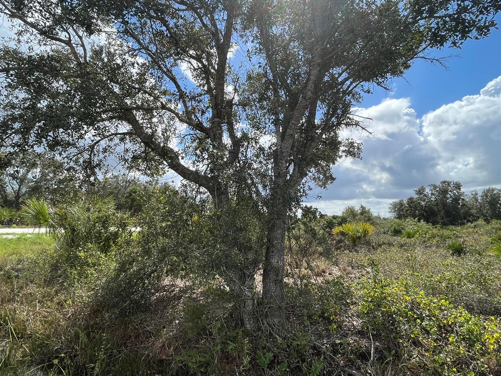 VIKING/PRAIRIE - Land