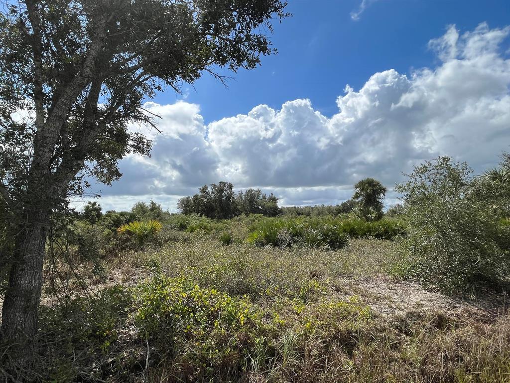 VIKING/PRAIRIE - Land