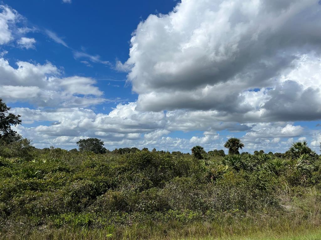 VIKING/PRAIRIE - Land