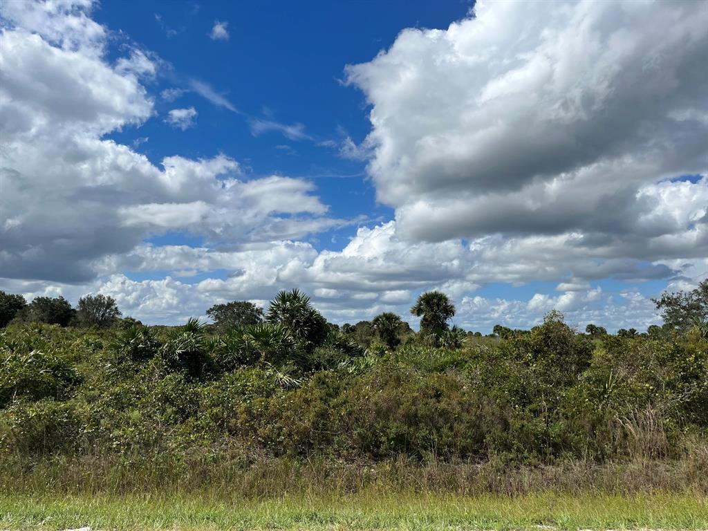 VIKING/PRAIRIE - Land