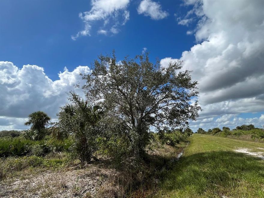 Build or bring your dream home and barn on this beautiful and private cleared 1.25-acre corner lot just off of the main road but yet still private. there are power poles on this street. So much to enjoy in Okeechobee County. Come to The Kissimmee River Preserve State Park West of this area as well is the Kissimmee River. The Kissimmee River flows into Lake Okeechobee and is well known for some of the best fishing. whether you like Fishing, hunting, mudding agriculture or just privacy here you have it all.