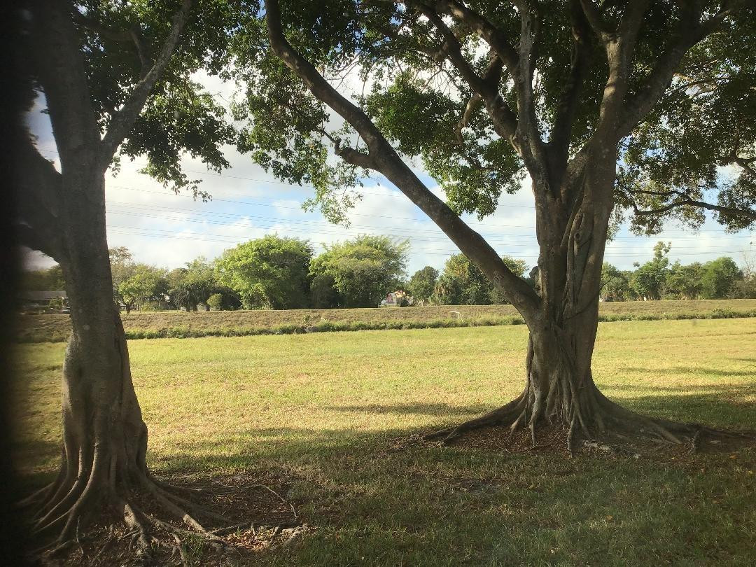 ORIOLE GARDENS THREE - Residential