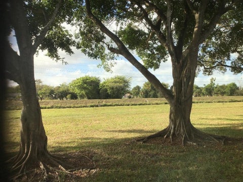 Tiny photo for 7290 NW 1st Street #205, Margate, FL 33063 (MLS # B26014780)