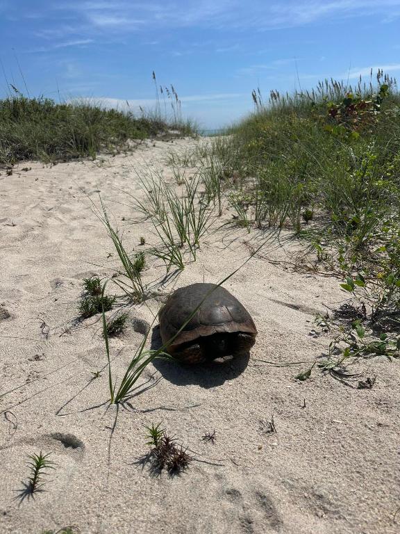 TIARA TOWERS CONDOMINIUM - Residential Lease