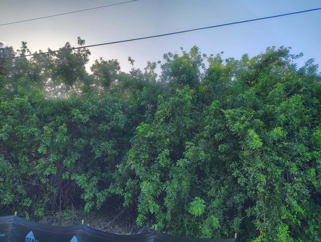 Photo of 3921 SW Port Saint Lucie Boulevard, Port Saint Lucie, FL 34953 (MLS # B26046485)