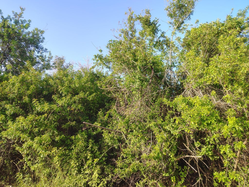 Photo of 3921 SW Port Saint Lucie Boulevard, Port Saint Lucie, FL 34953 (MLS # B26046485)