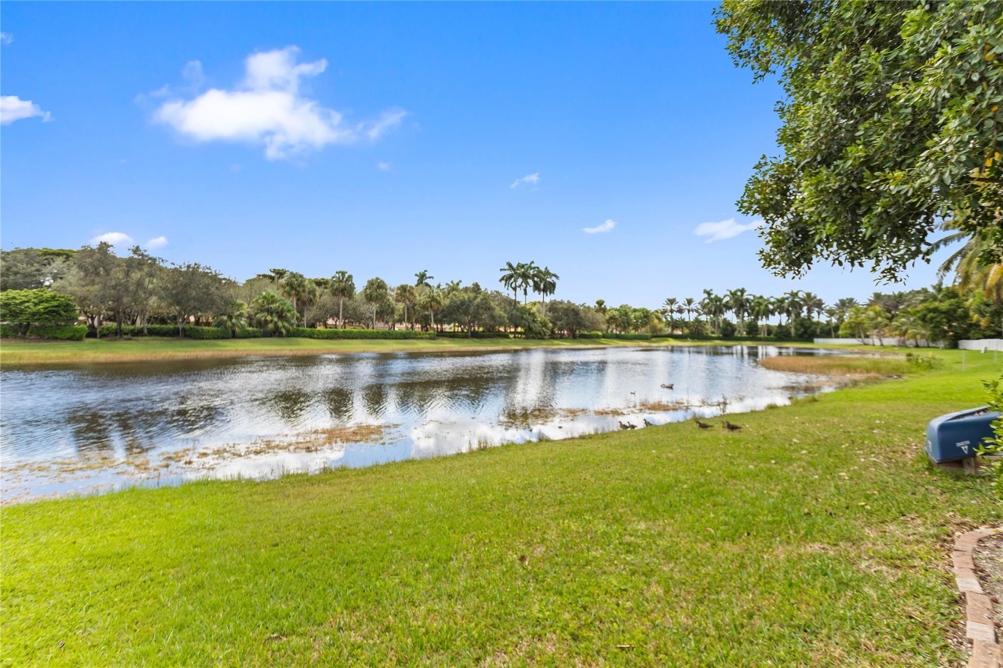 COVE III - Residential