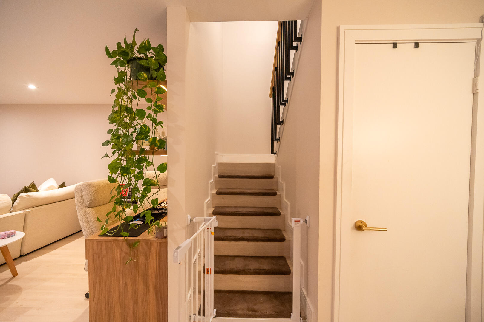 COURTYARDS OF WATERFORD - Residential